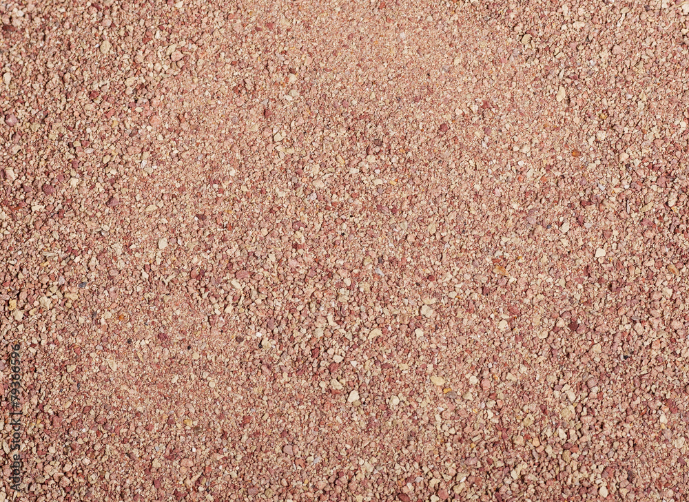 Fototapeta premium cat litter
