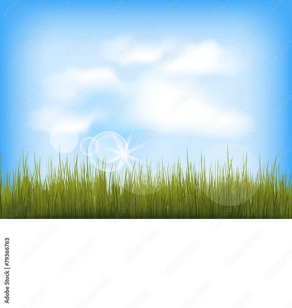 Obraz premium Summer background with green grass, blue sky, clouds