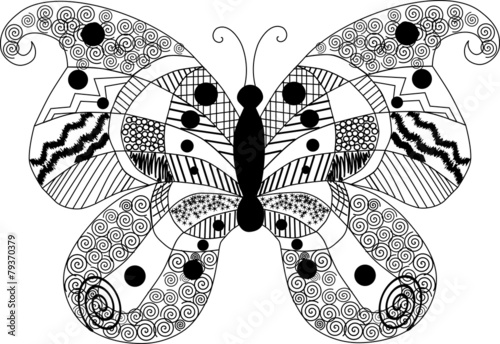 Black and white butterfly