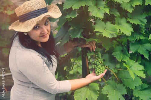 Vine Grower is Checking Grape photo