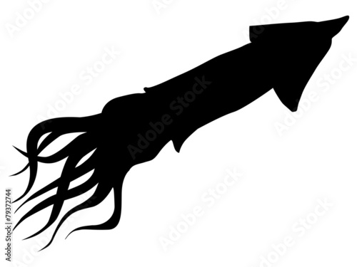 squid