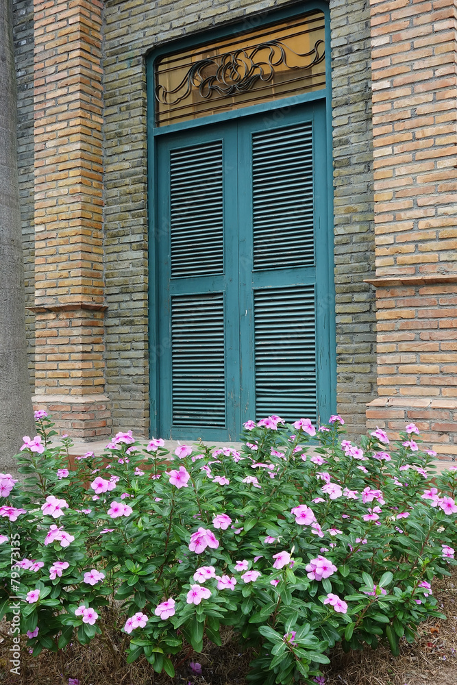 window with flower.
