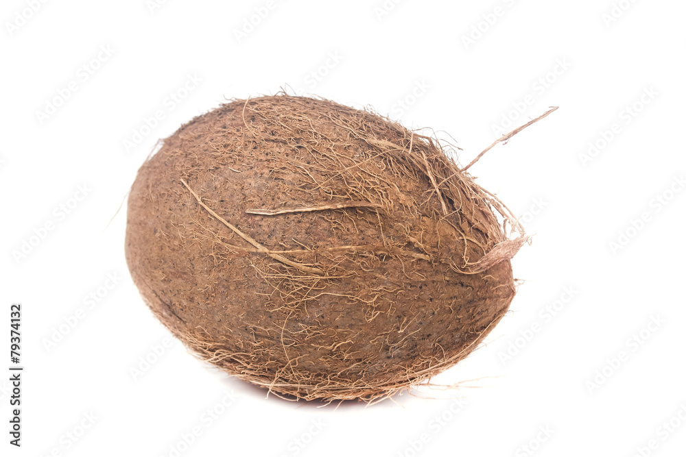 one a large lying coconut one a large lying coconut