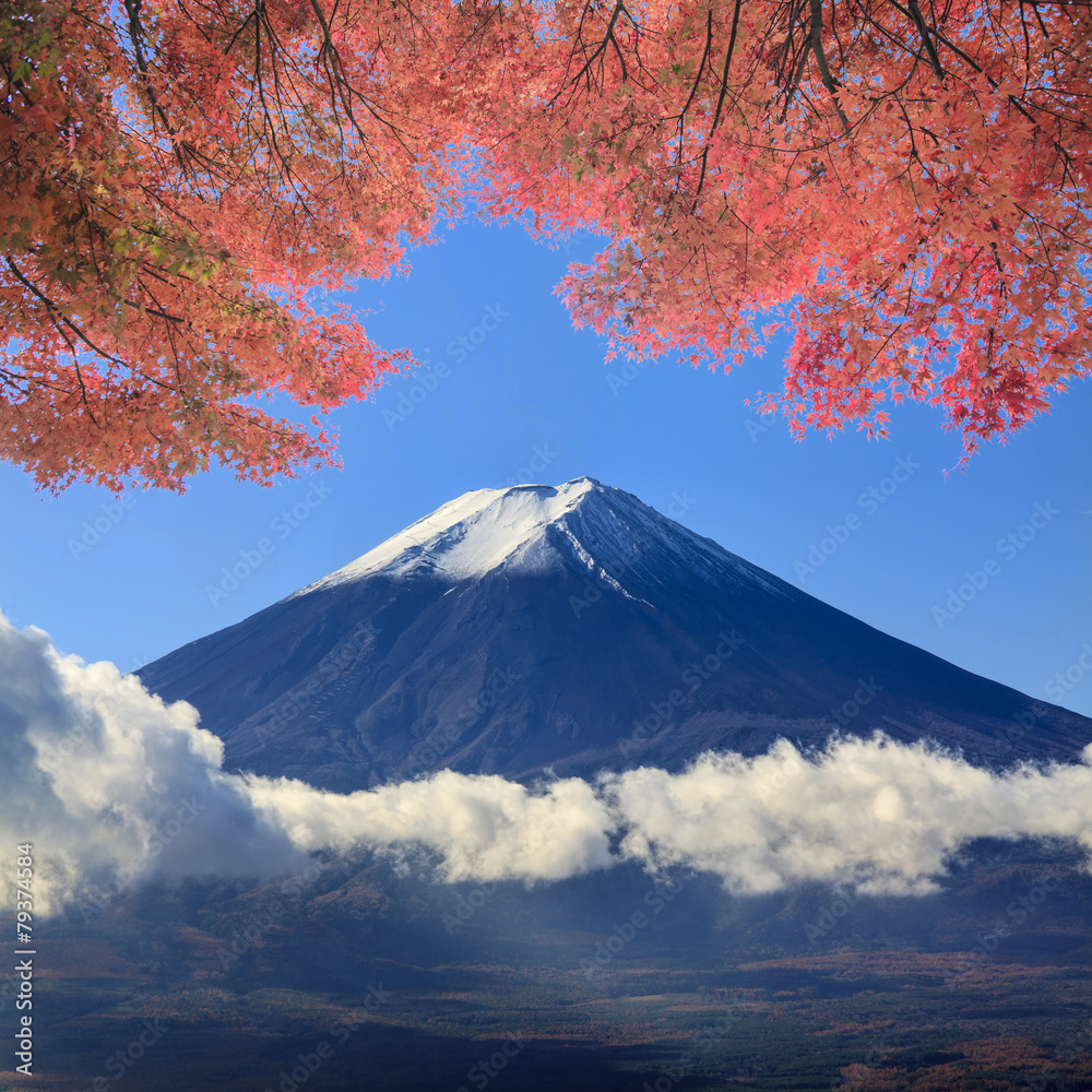 Fototapeta premium image of beautiful maple place