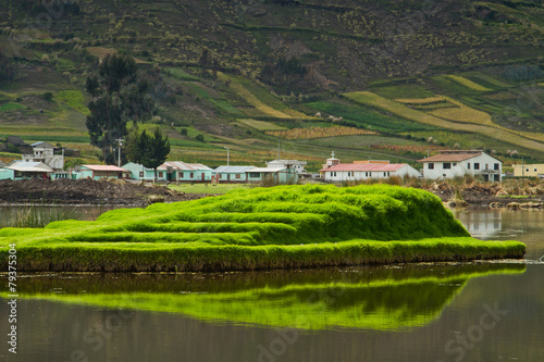 Colta lagoon in Chimborazo, Ecuador
