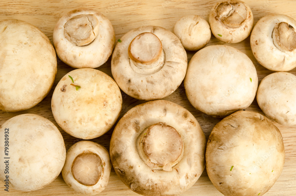 Mushroom Mushroom