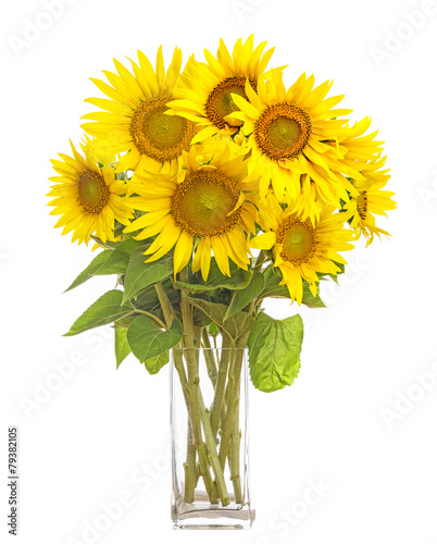 Fototapeta Naklejka Na Ścianę i Meble -  a big bunch of sunflowers in a vase