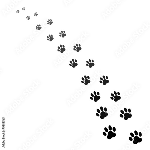 Obraz na płótnie footprints of dog w salonie