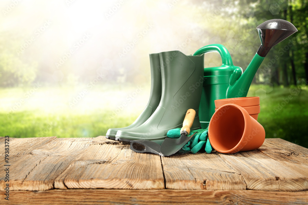 Fototapeta premium garden