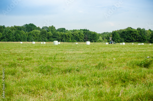 haystacks in the green field
