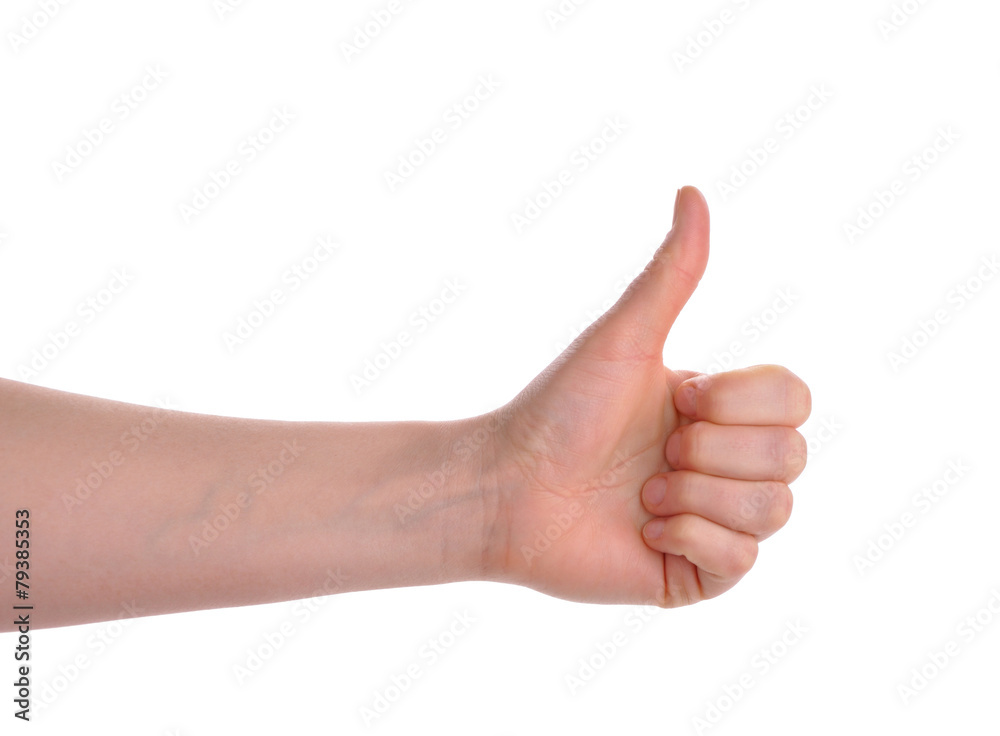 hands showing thumb up isolated over white hands showing thumb up isolated over white