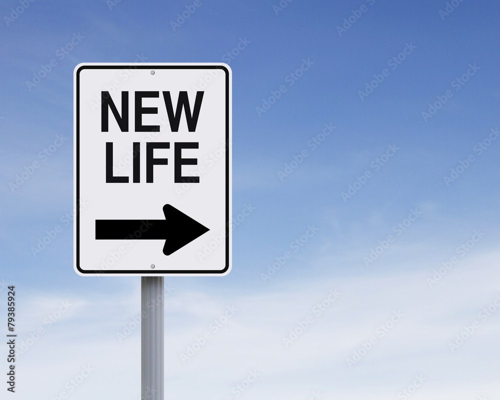 Your New Life This Way Your New Life This Way