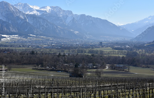 vignoble alpin photo