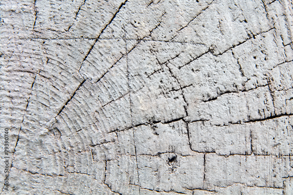 Fototapeta premium Painted wood texture