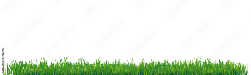 Naklejka premium ZIELONE ZIOŁO