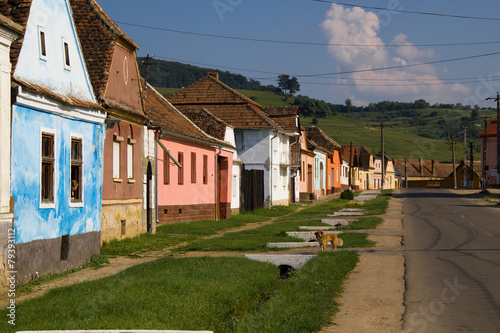 Campagne roumaine - maisons colorées photo