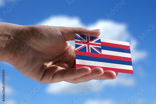 Schilderij op canvas Small Hawaiian flag