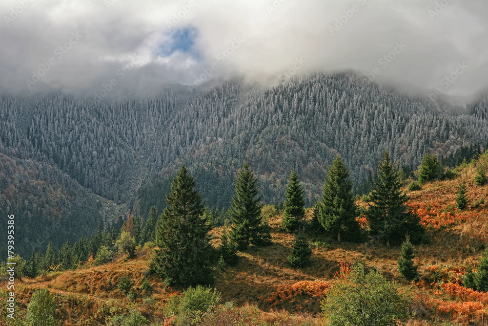 Autumn morning in Rodopi mountain, Bulgaria