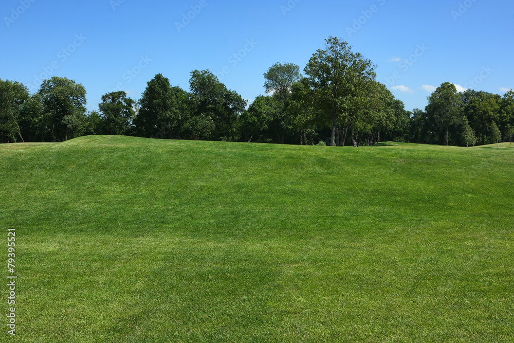 Lawn with forest line and blue sky. The golf course.