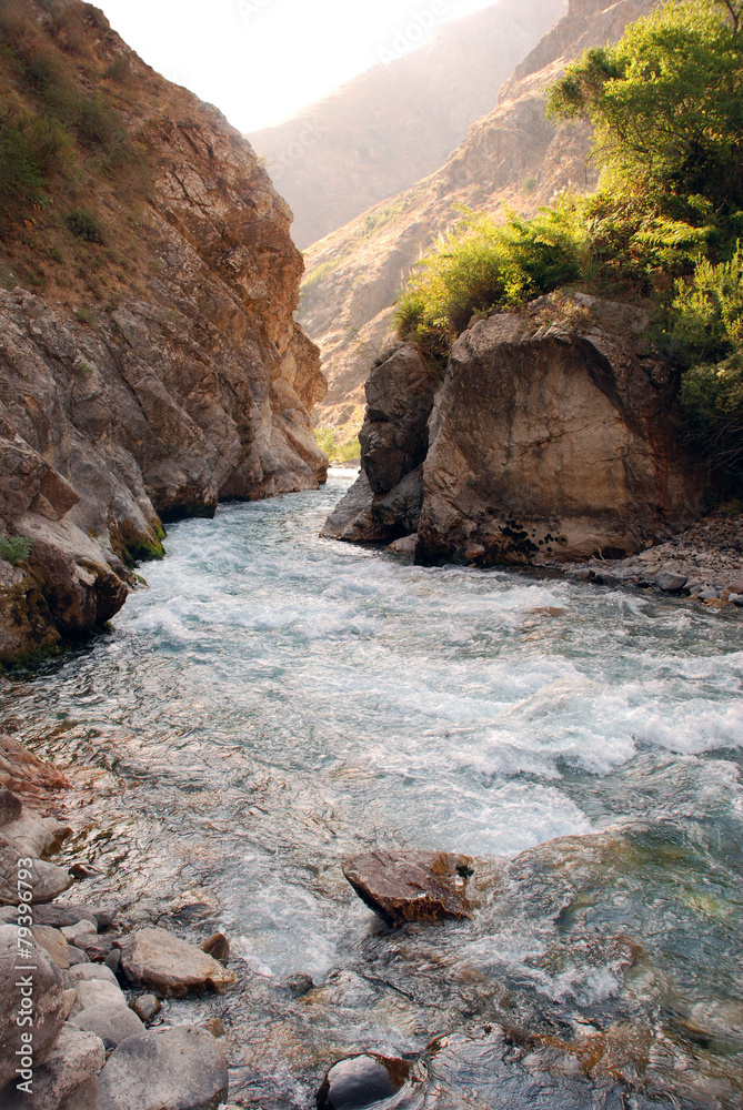 Горный ручей в ущелье Тянь-Шаня Узбекистан