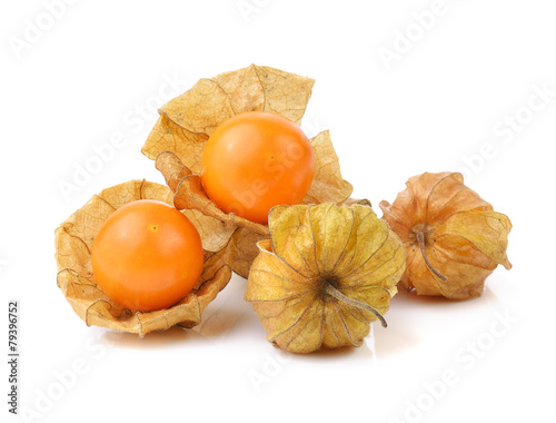 Physalis fruit on a white background