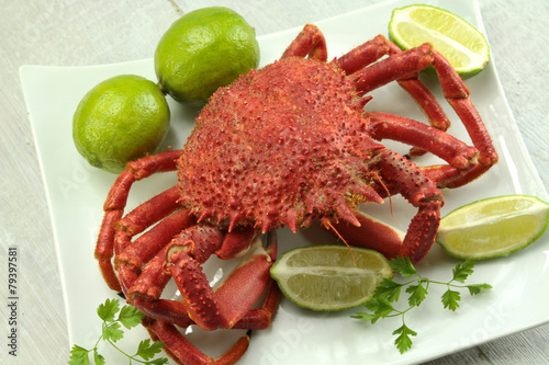 Konstfotografi araignée de mer