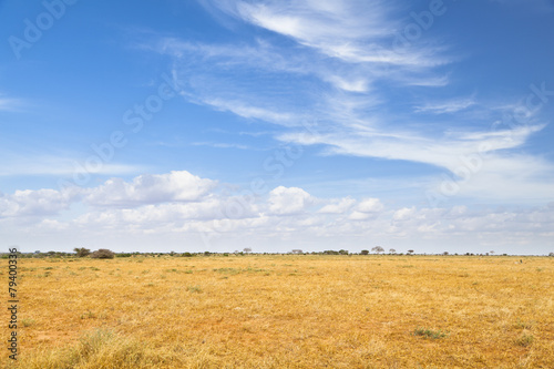 Tsavo East Landscape in Kenya