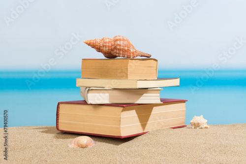 Bild auf Leinwand Book on the beach