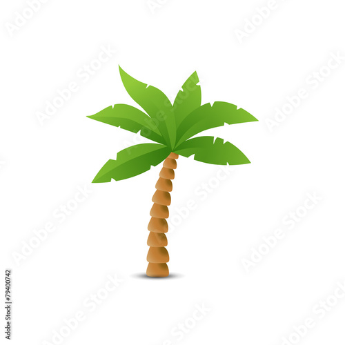 Tropical palm isolated on w...