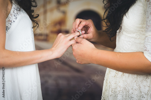 portrait of beautiful lesbian couple wedding photo