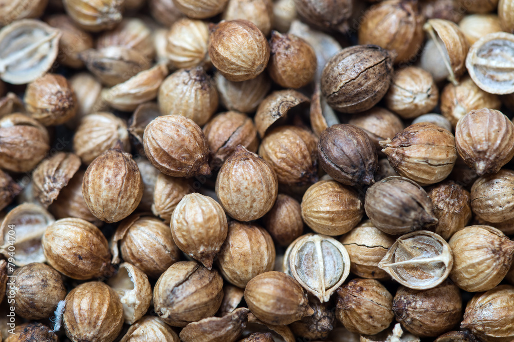 Coriander seeds from above. Macro 1:1 closeup. Coriander seeds from above. Macro 1:1 closeup.