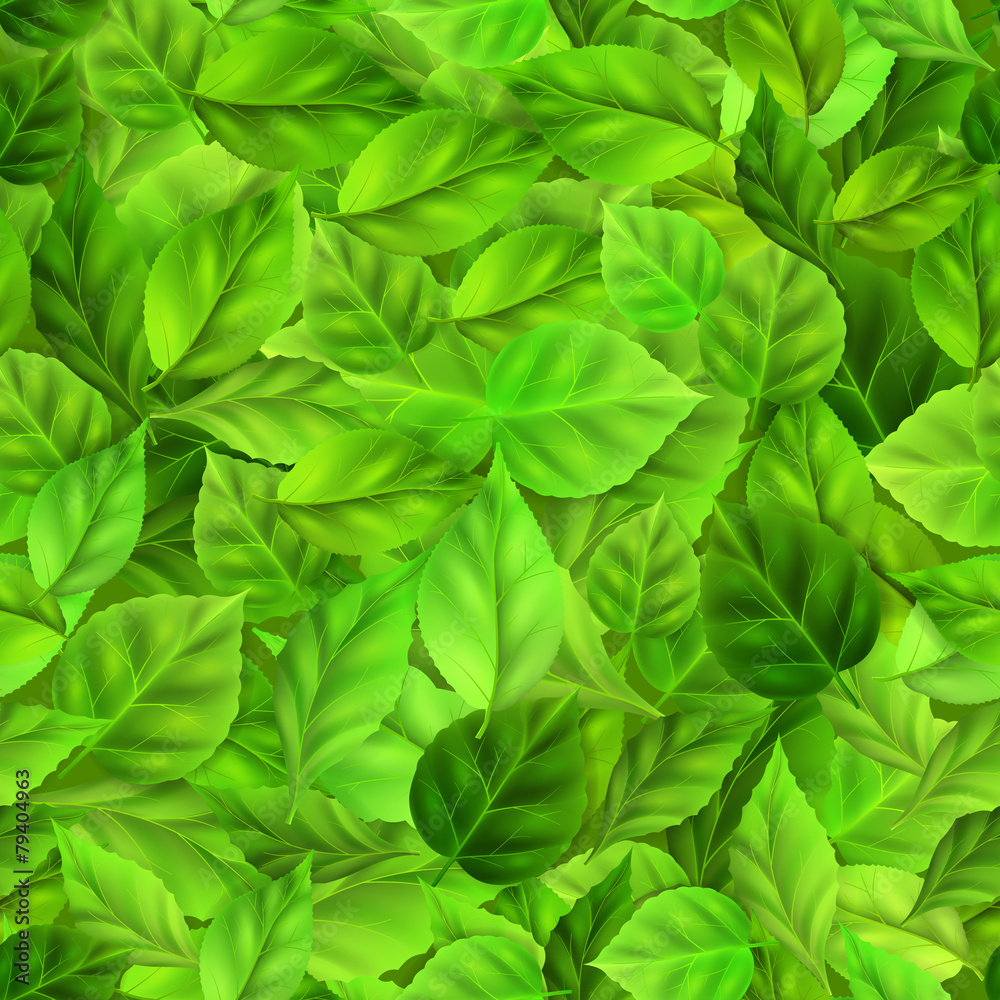 Seamless pattern of green leaves Seamless pattern of green leaves
