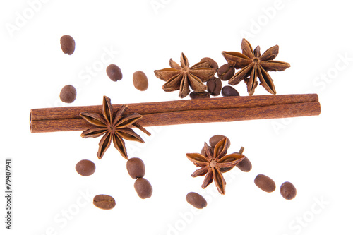 Dried Cinnamon, Anise. Isolated