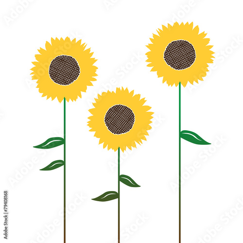 Sunflower's silhouettes, isolated on white