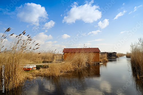 Kanal im Schilf am Neusiedlersee photo