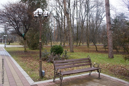 Bench in the park