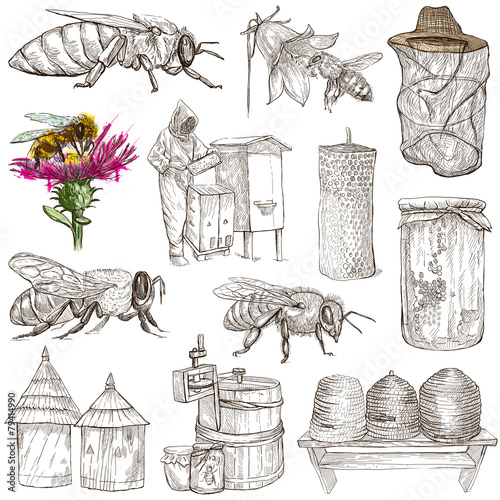 bees, beekeeping and honey - hand drawn illustrations