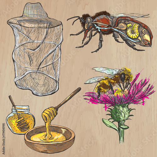 bees, beekeeping and honey - hand drawn vector pack 1