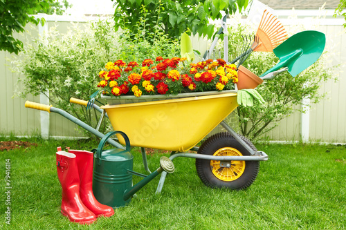 Fototapeta Naklejka Na Ścianę i Meble -  Gardening tools.