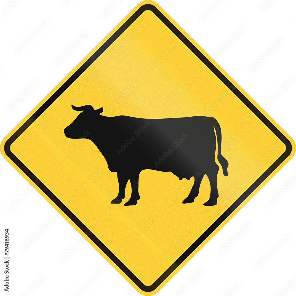 US road warning sign - Cattle crossing US road warning sign - Cattle crossing