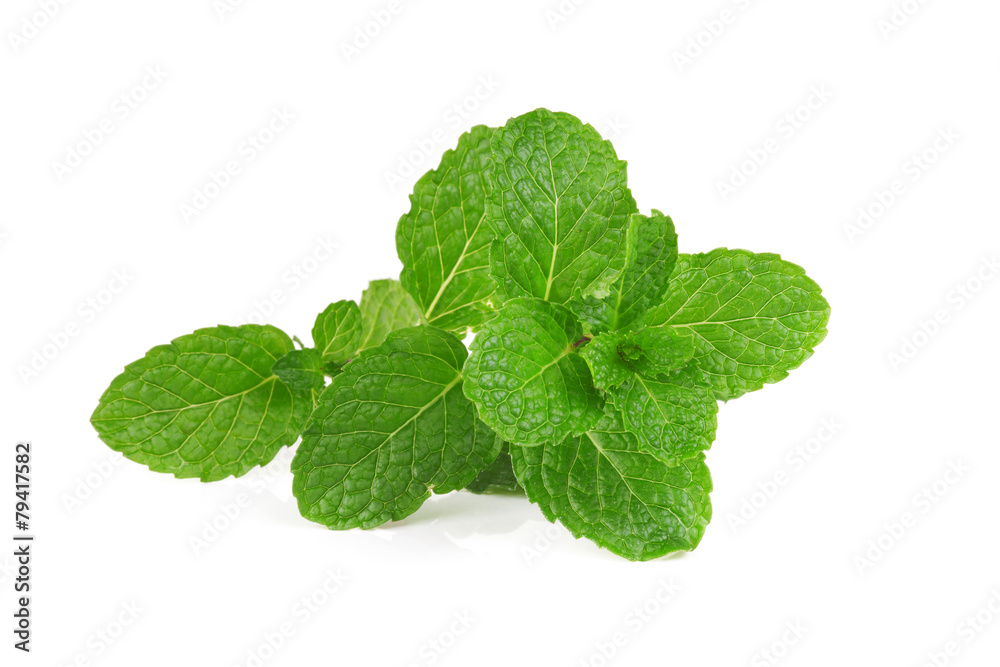 mint on white background mint on white background