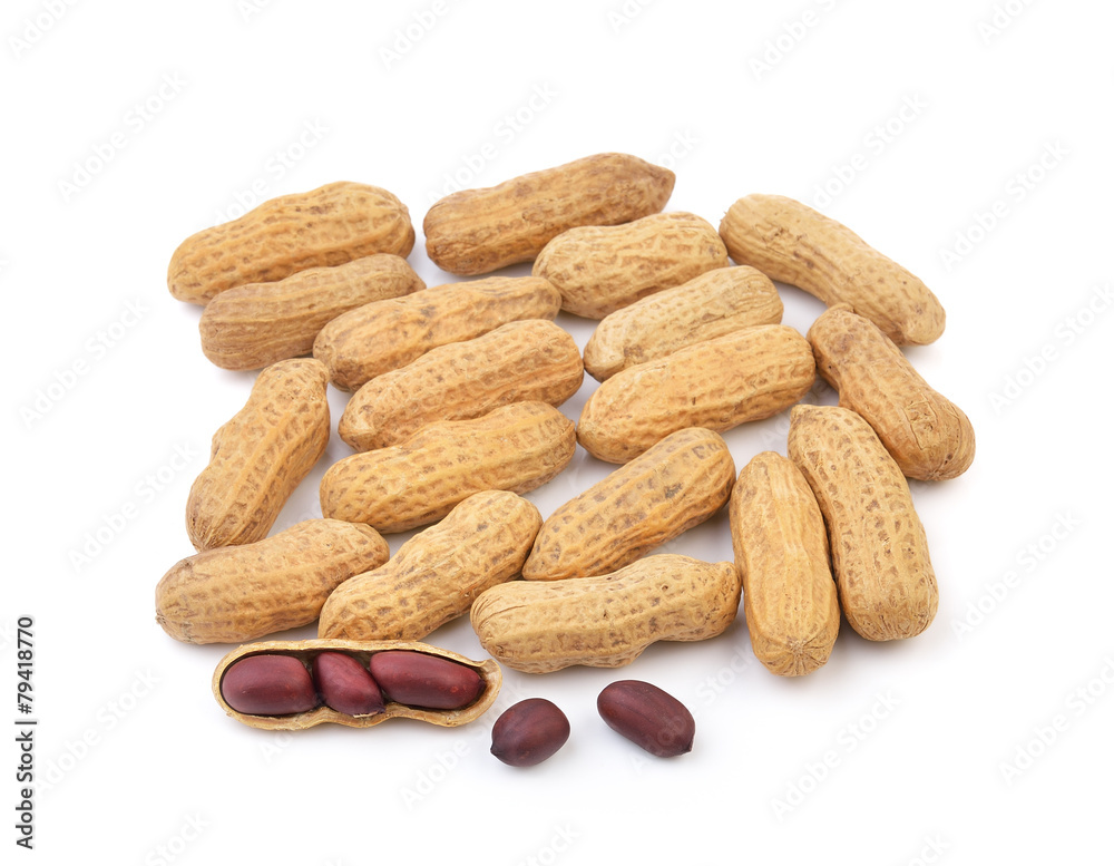 peanut on white background peanut on white background