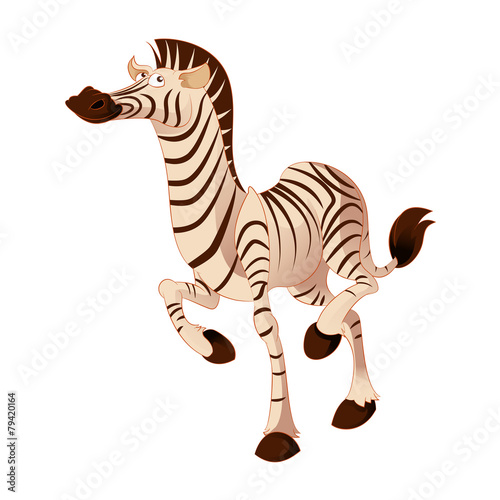 Cartoon zebra © amplion