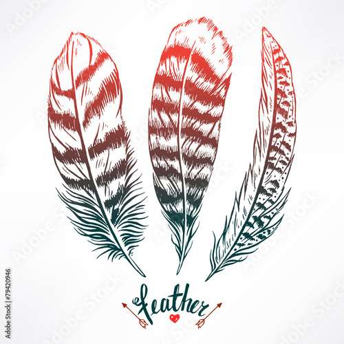 three beautiful feathers