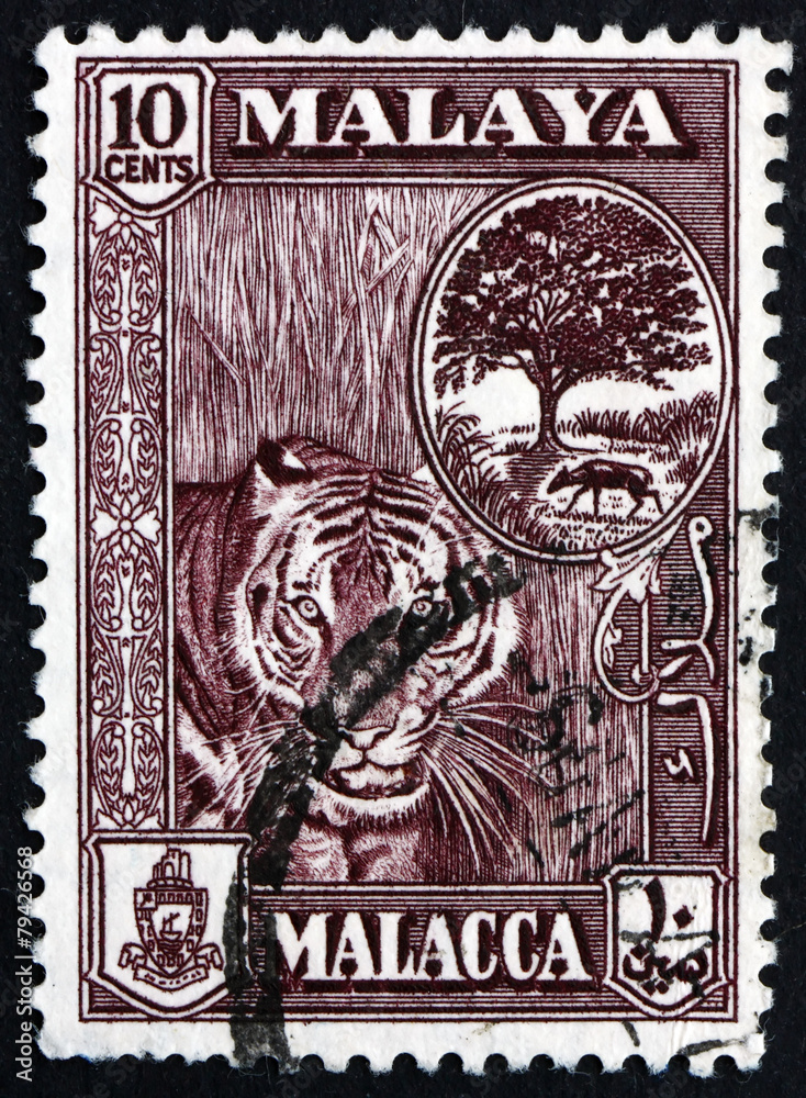 Fototapeta premium Postage stamp Malaya 1960 Tiger