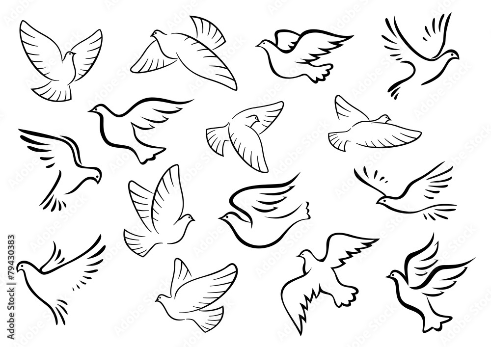 Pigeon and dove birds silhouettes Pigeon and dove birds silhouettes