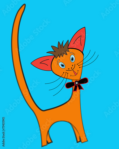 Positive cat.