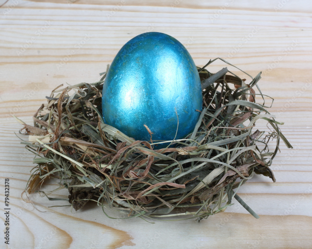 Easter Eggs in a nest Easter Eggs in a nest