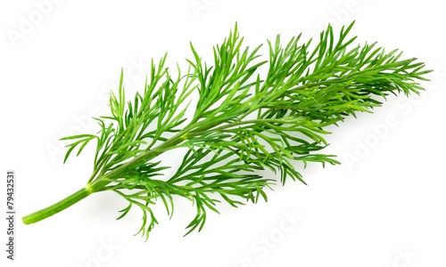 Foto Dill isolated on white background