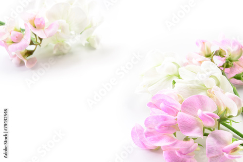 Fototapeta Naklejka Na Ścianę i Meble -  Beautiful Flowers. Card with floral design
